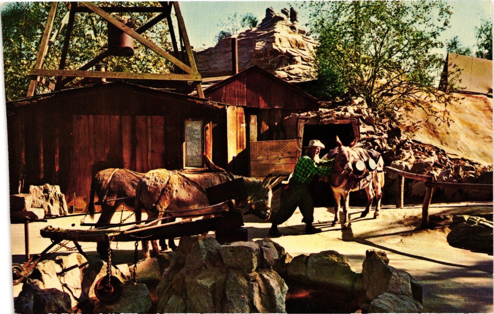 Vintage Roy The Old Prospector Knott\'s Berry Farm California Postcard Unposted