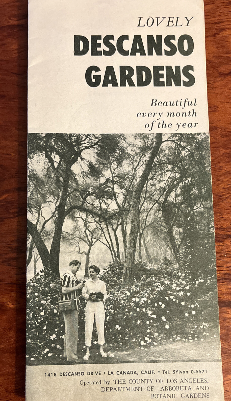 VTG Rare 1960\'s Brochure for Descanso Gardens Los Angeles La Canada 