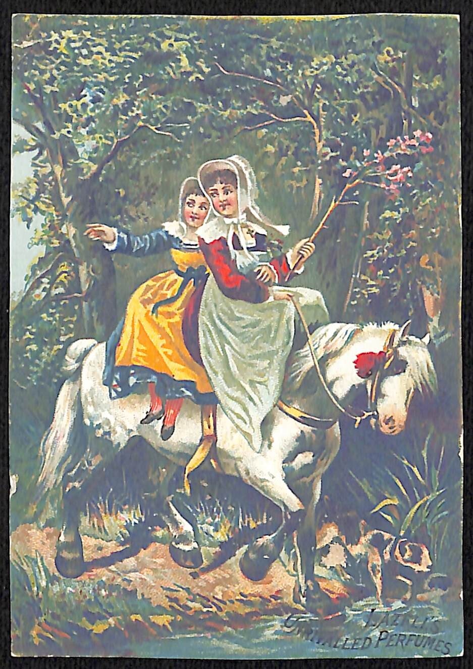 Hazell\'s Perfumes Hazell & Dalley & Co. NY Victorian Trade Card Women Ride Horse