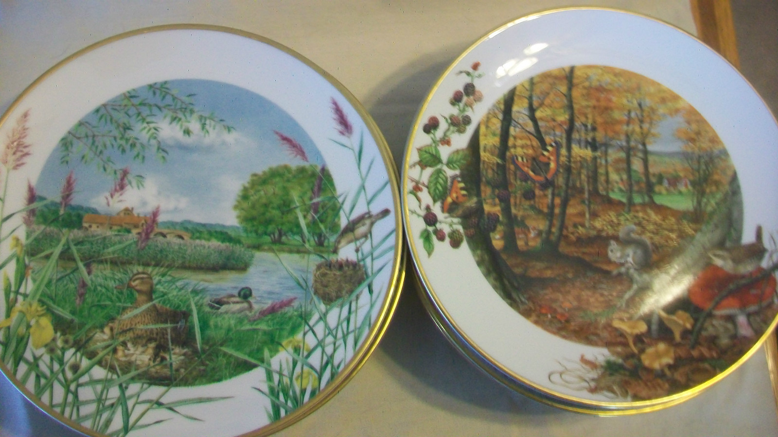 SET OF 12 FRANKLIN PORCELAIN NATURE SCENES by PETER BANETT PLATE COLLECTION 1979
