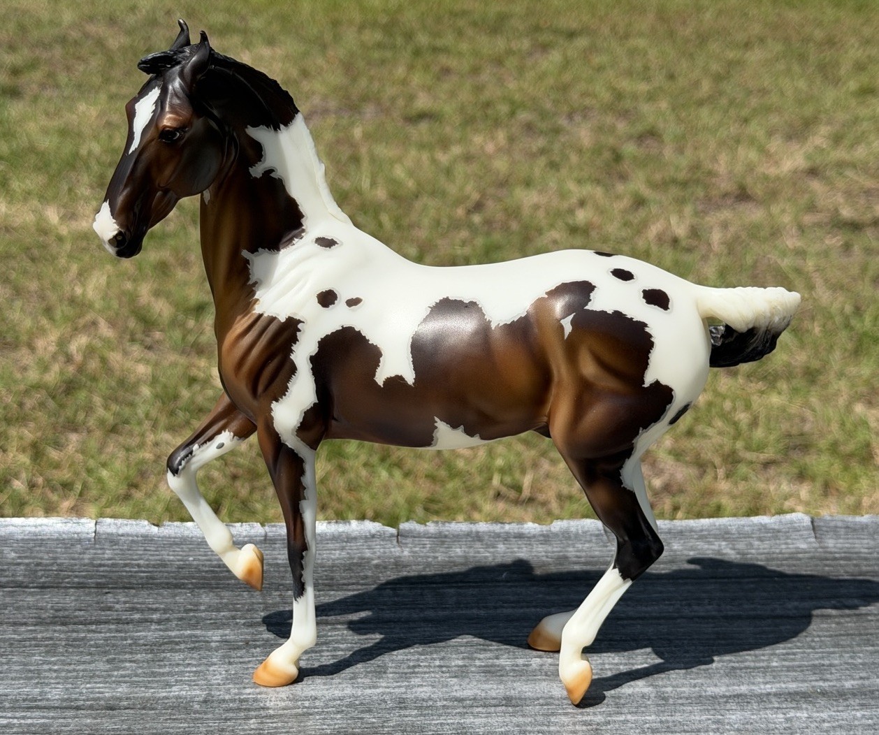 Breyer Premier Collection Kalahkaari Rare Marwari Special Run