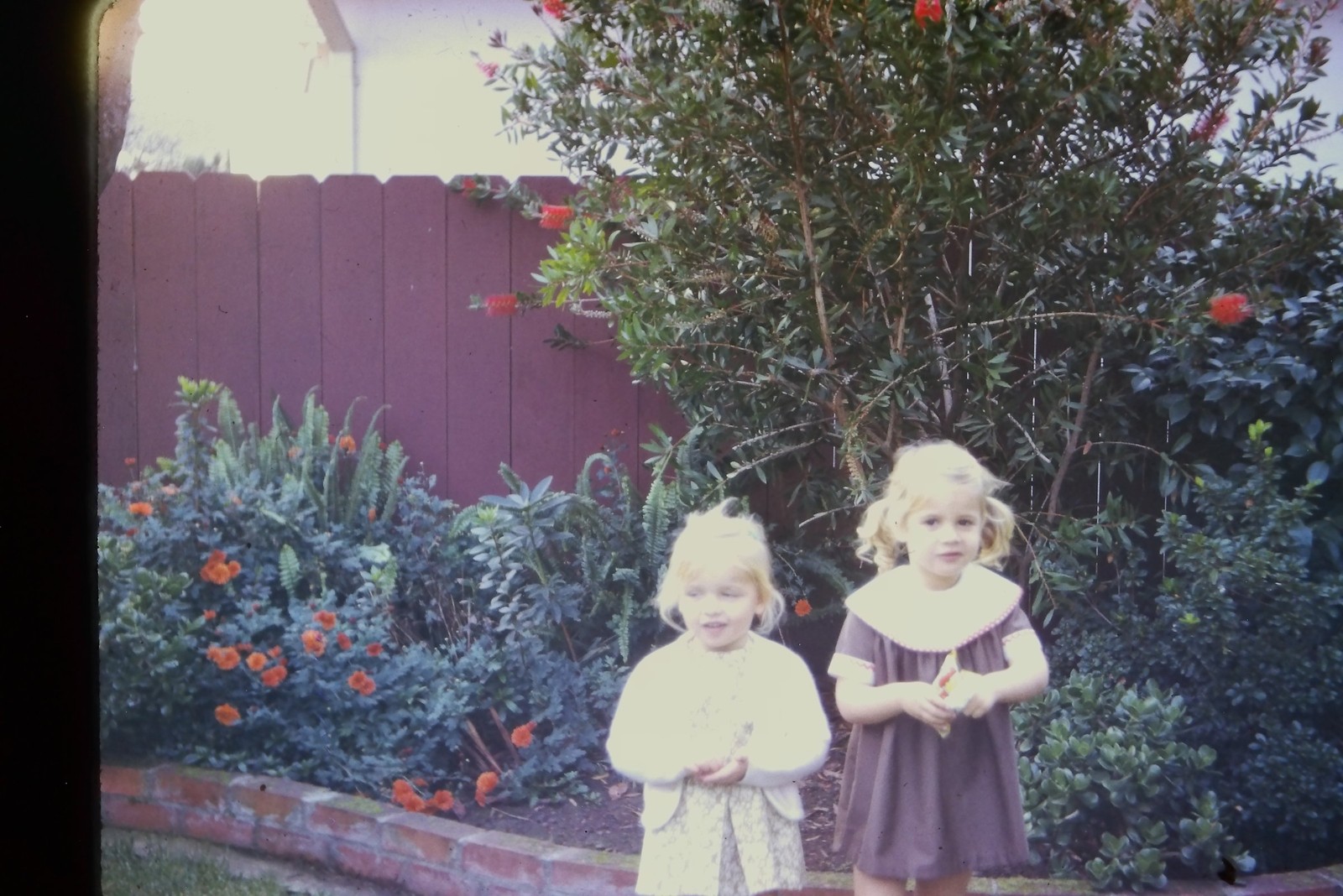 1960s Unknown 35mm Slide Two Blonde Girls Backyard Garden Flowers 1960s Unknown 35mm Slide Two Blonde Girls Backyard Garden Flowers