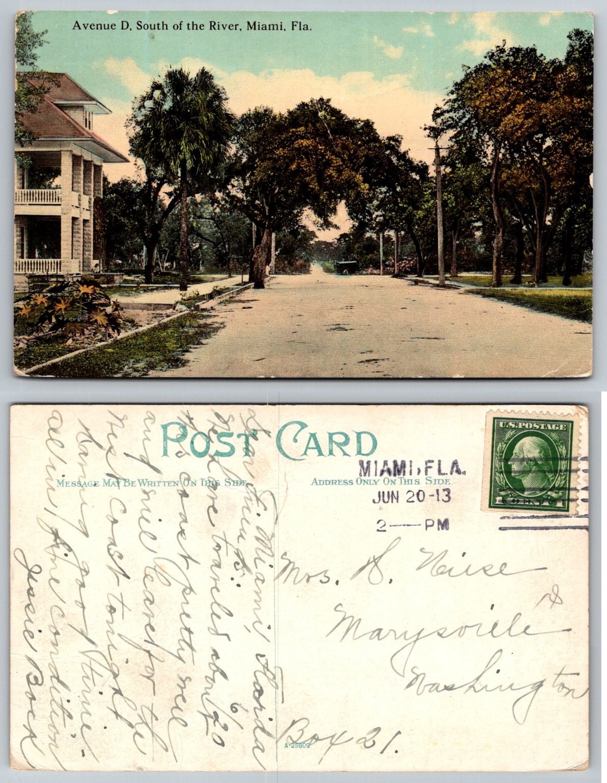 Avenue D Miami Florida 1913 Postcard Historic Palm Lined Street Avenue D Miami Florida 1913 Postcard Historic Palm Lined Street