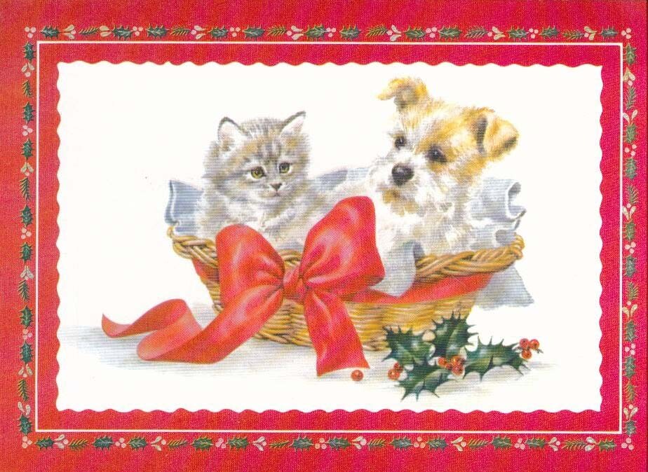 Kitten and puppy in basket Christmas Card #98- 1 card + 1 blank envelope