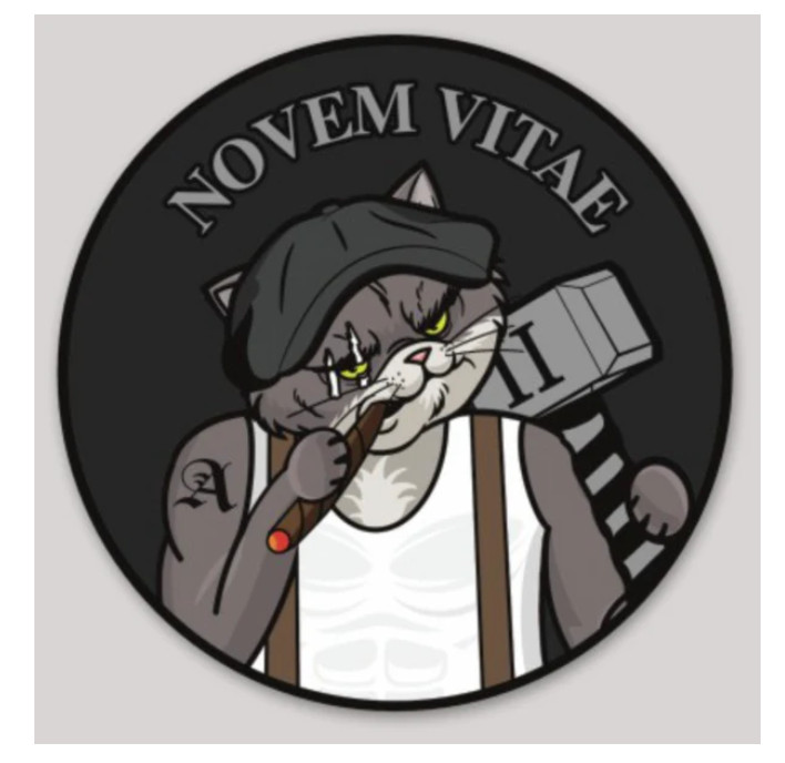 MILITARY 2ND ANGLICO NICE GUYS NOVEM VITAE STICKER DECAL