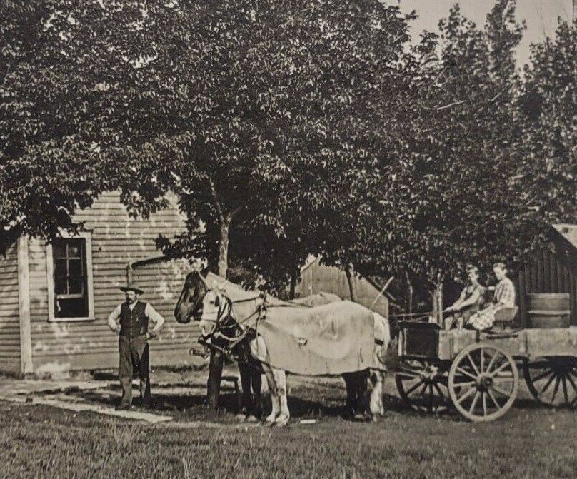 RPPC Real Photo Postcard US Farm Horses Buggy House Wagon Unposted VTG 