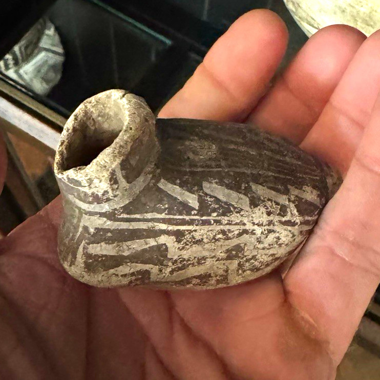 Anasazi, black and white pottery duck seed pot