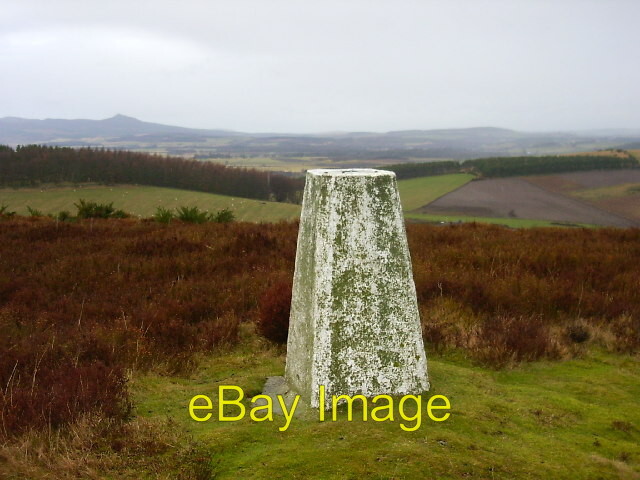 Photo 6x4 Glack trig Letter Looking N from position. 207m asl. Mither Tap c2006