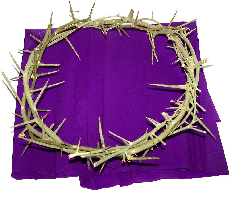 Crown of Thorns from the Holy Land with Certificate of Origin Crown of Thorns from the Holy Land with Certificate of Origin