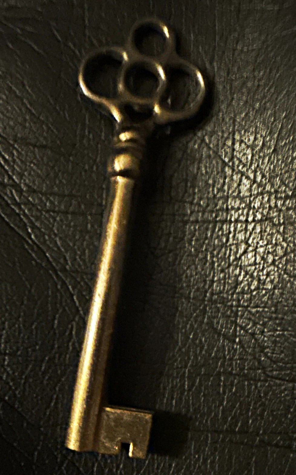 classic hollow barrel skeleton key with ornate bow and an antique brass finish