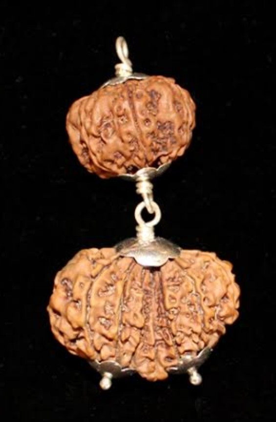 Rudraksha Combination For Zodiac Sign : Capricorn (Makara) - Nepal - Certified