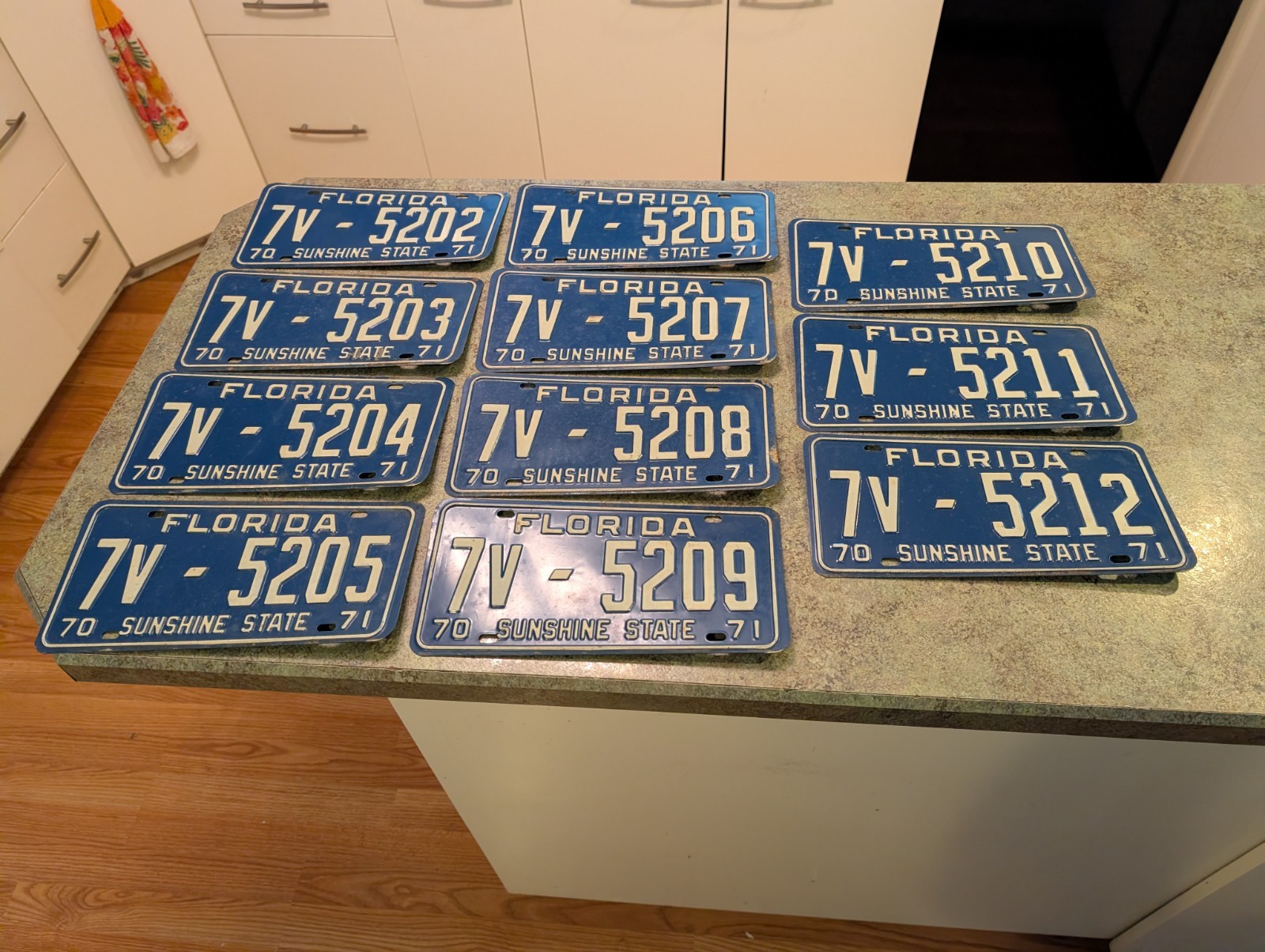 Vintage 1970 1971 Blue Orlando FLORIDA License Plate 11pc RARE Sequential Set