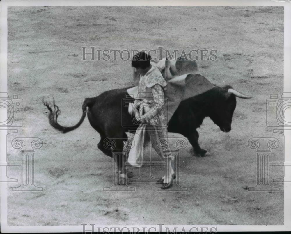 1966 Press Photo Bullfights taking place in Mexico City - net04728