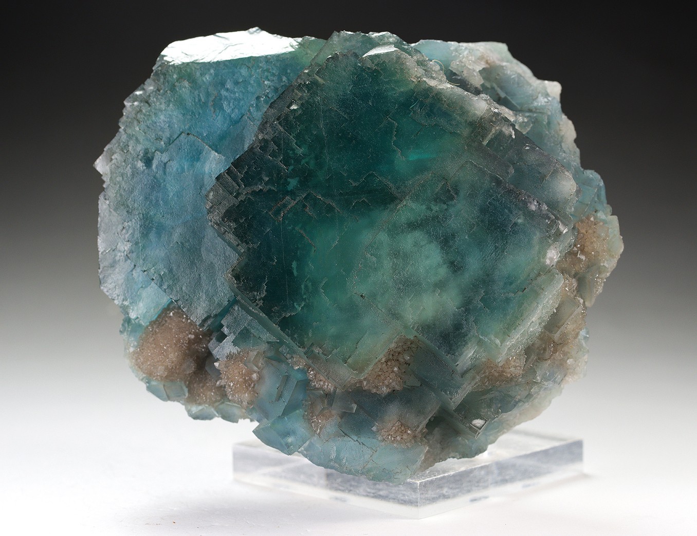 RARE HUGE GEMMY GREEN FLUORITE W/BLUE PHANTOMS Cube CLUSTER FLOWER, Fujian China