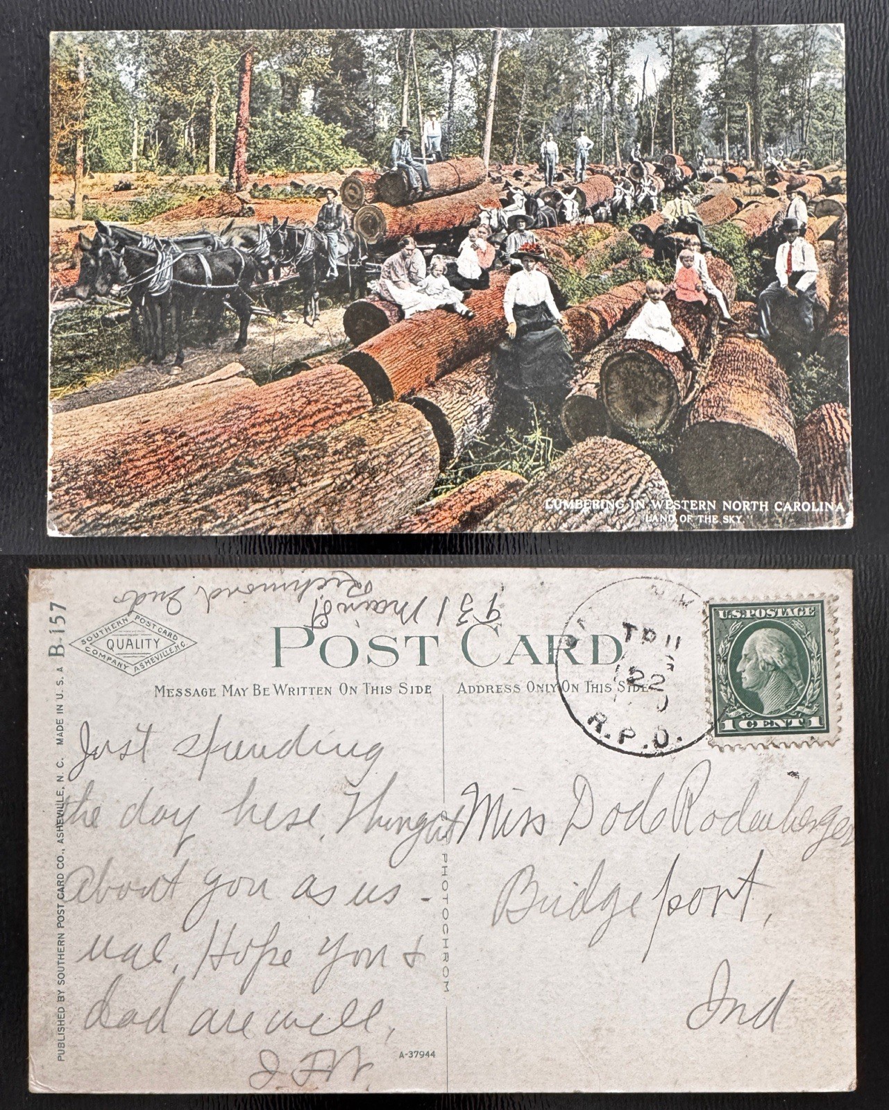 1913 Lumbering in Western North Carolina Land of Sky Logging Mule Teams NC B4 1913 Lumbering in Western North Carolina Land of Sky Logging Mule Teams NC B4