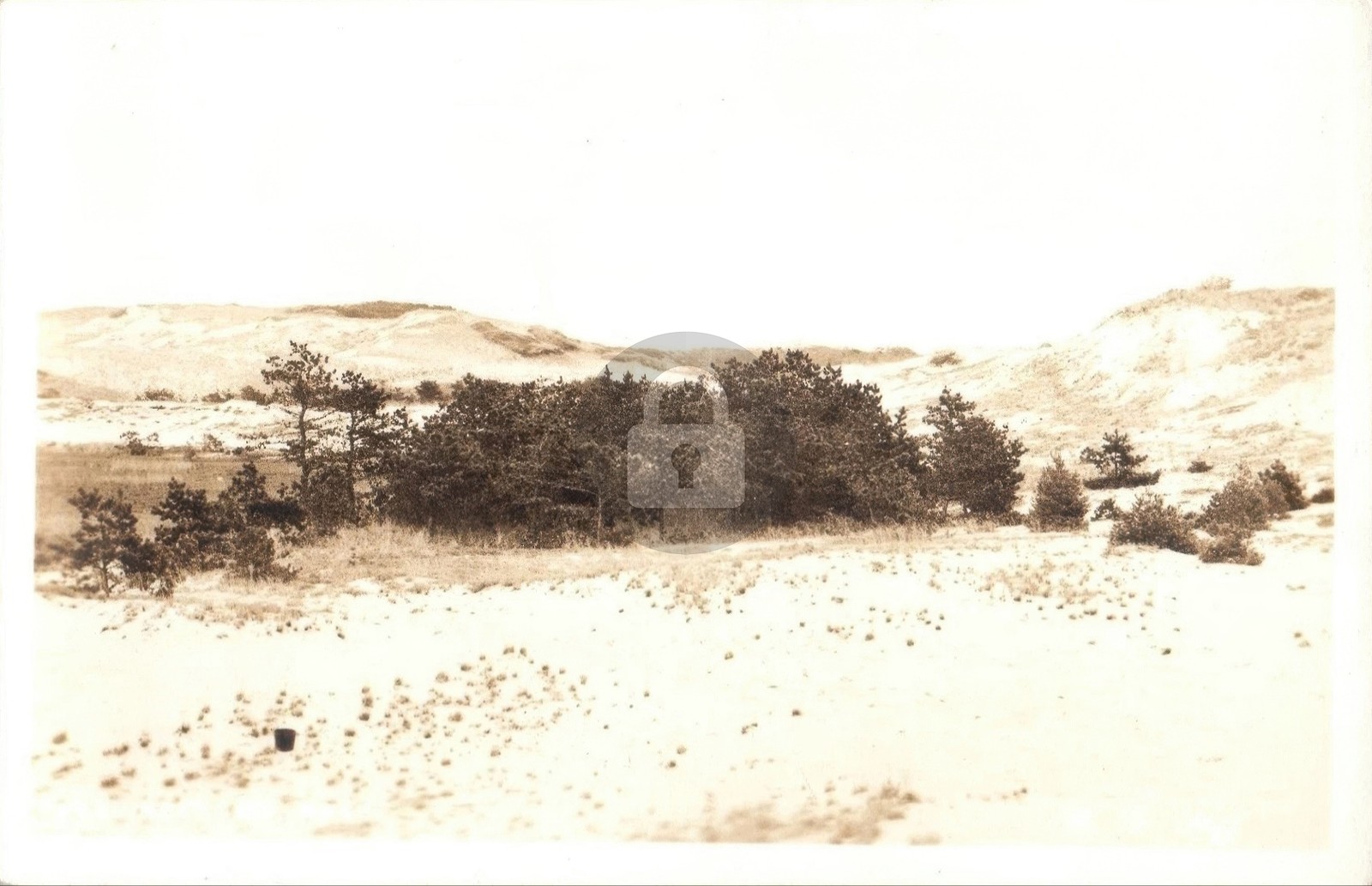 c1930\'s Sand Dunes Provincetown Massachusetts MA RPPC Photo Postcard COPY