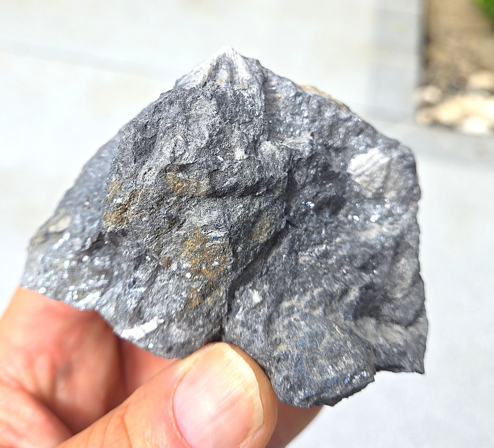 Rare Metalic Stibnite /  Antimony Ore, 1  pound 3 oz.  Nevada