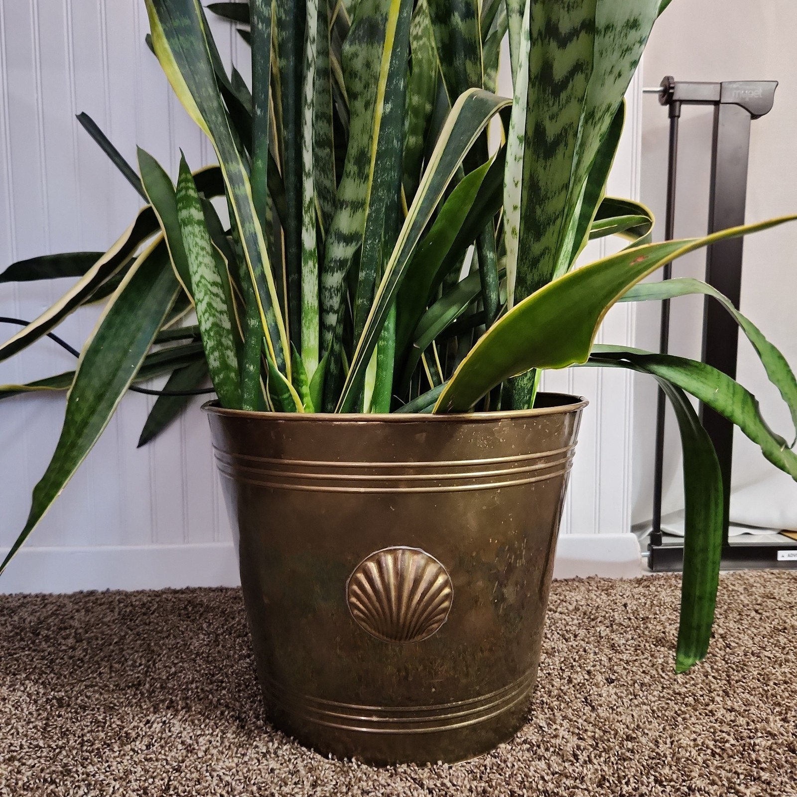 Large Vtg Brass Planter Cachepot Jardiniere Seashell Hollywood Regency Art Deco