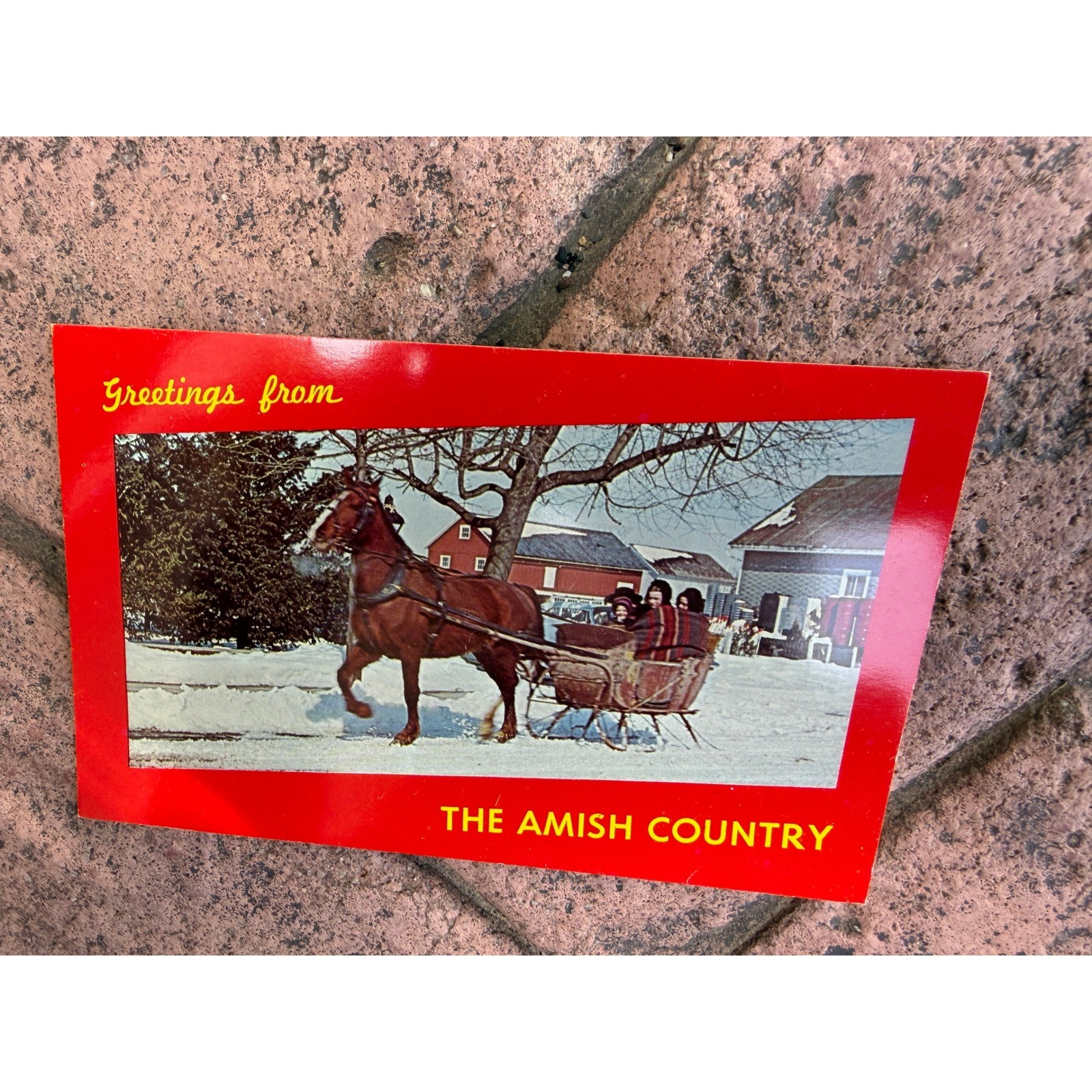 Vintage Postcard Amish Country Winter Horse Sleigh Ride Lancaster PA Ephemera