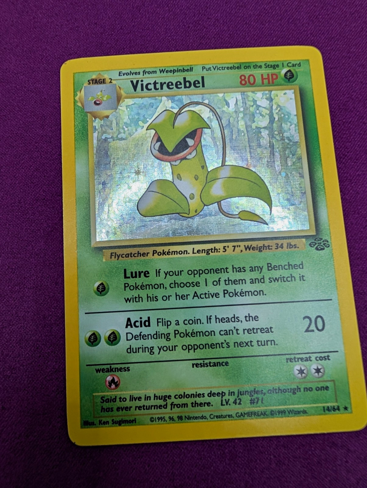 Pokémon Jungle Victreebel 14/64 Holo WOTC Wizards 1999 English Card