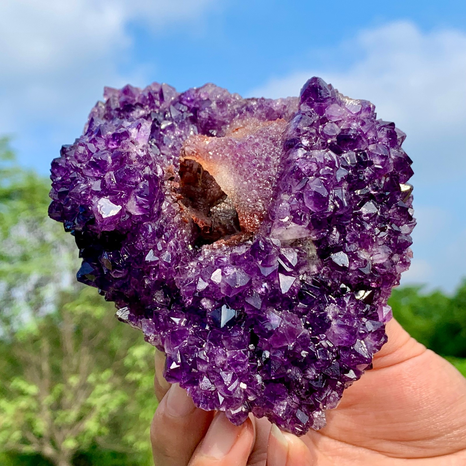 1.13LB AAA Grade Natural High-quality Amethyst Flowers Crystal Quartz Specimens