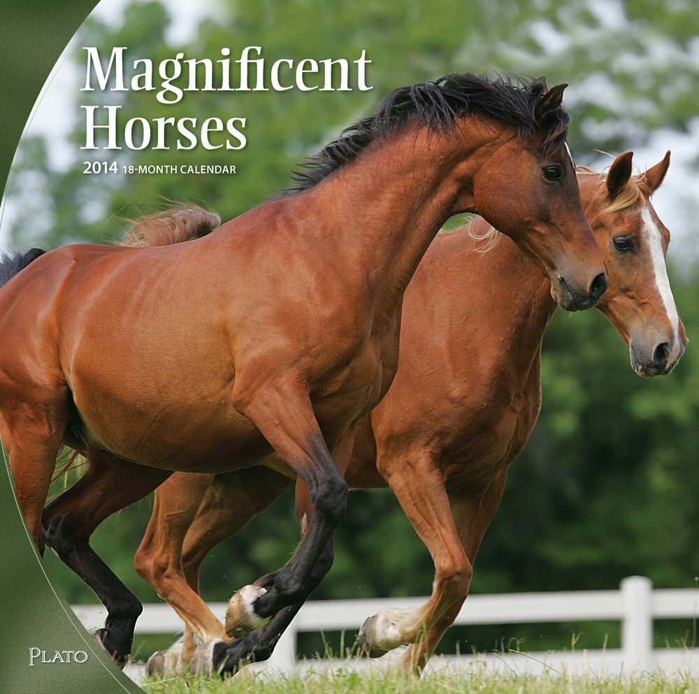 Magnificent Horses 2014 Square 12x12