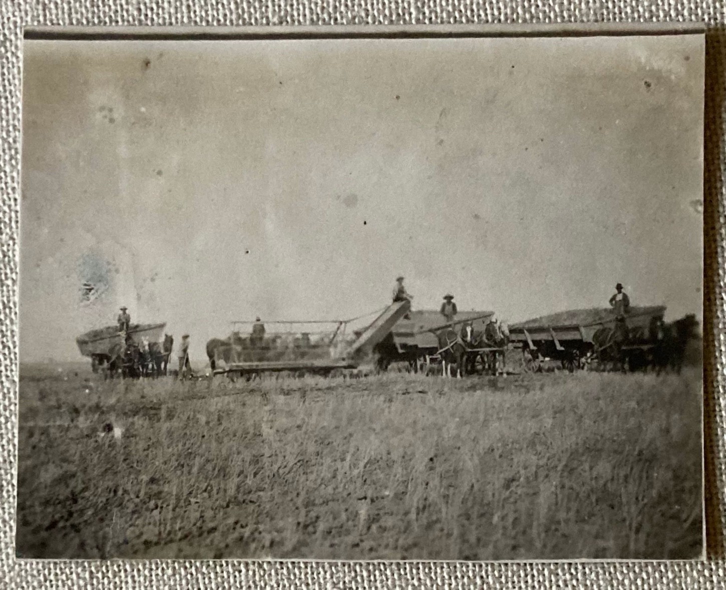 Vtg Photo RPPC Men Working Hay Wheat Farm Horse Farming Equipment Machinery 4\