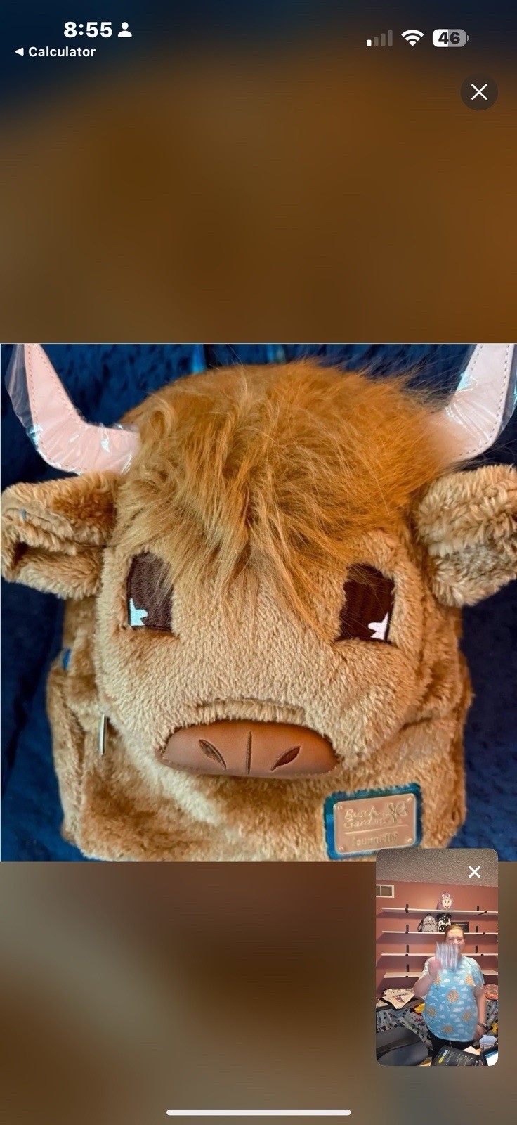 Rare Highland Cow Busch  Gardens loungefly