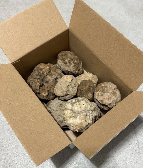 Box Of 10 Whole Natural Kentucky Geodes. FAST  Read Description.