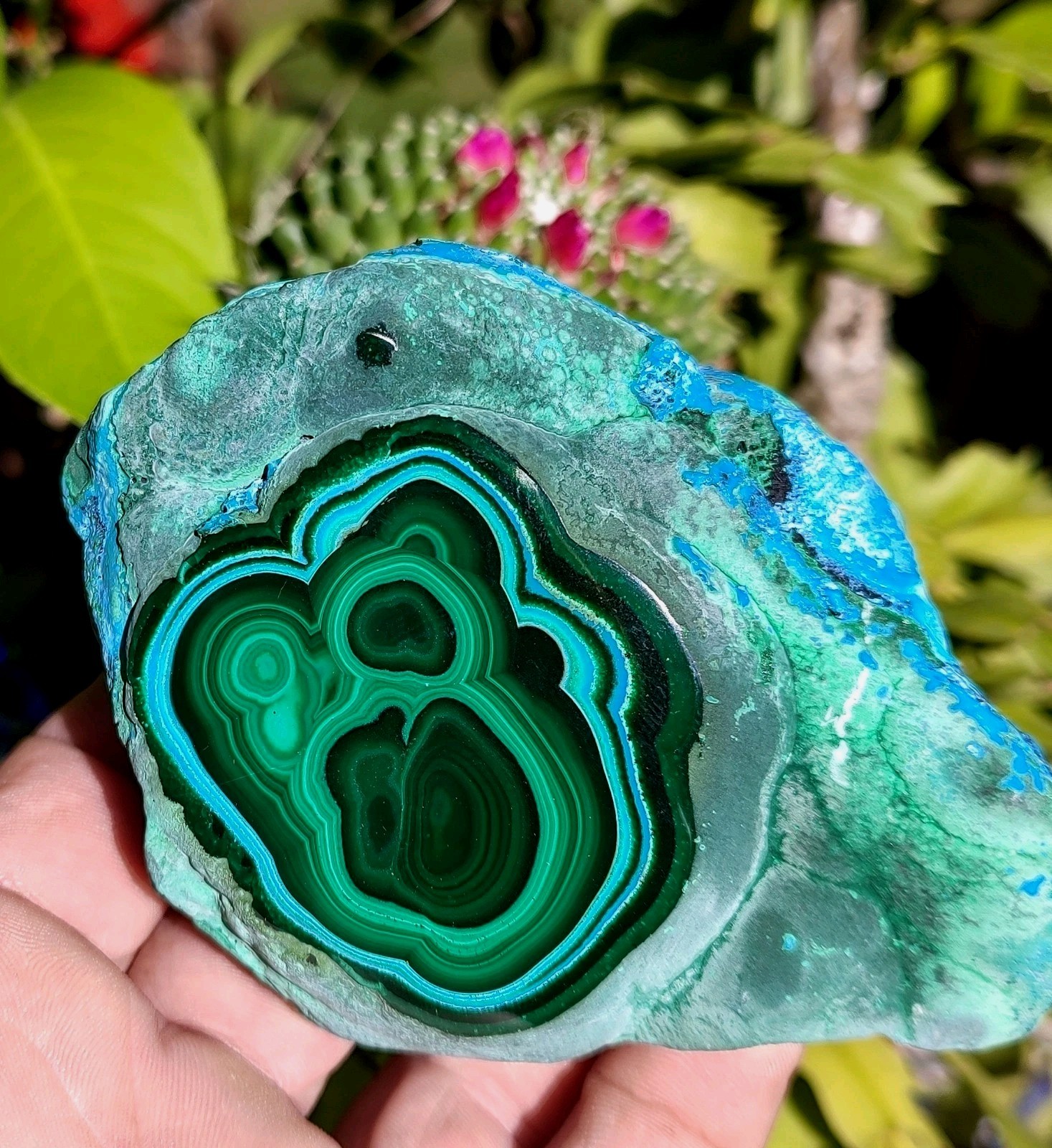 GORGEOUS CHRYSOCOLLA -MALACHITE NATURAL MINERAL, 427G POLISHED SHOW PIECE