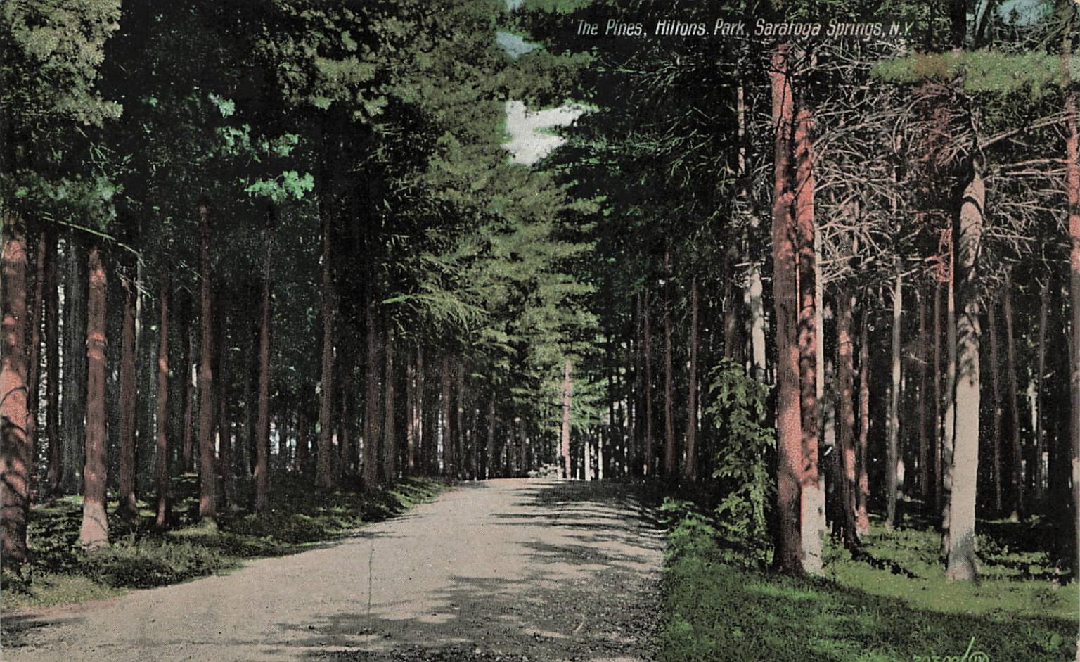 The Pines, Hiltons Park, Saratoga Springs NY Postcard 1912 Divided Back The Pines, Hiltons Park, Saratoga Springs NY Postcard 1912 Divided Back