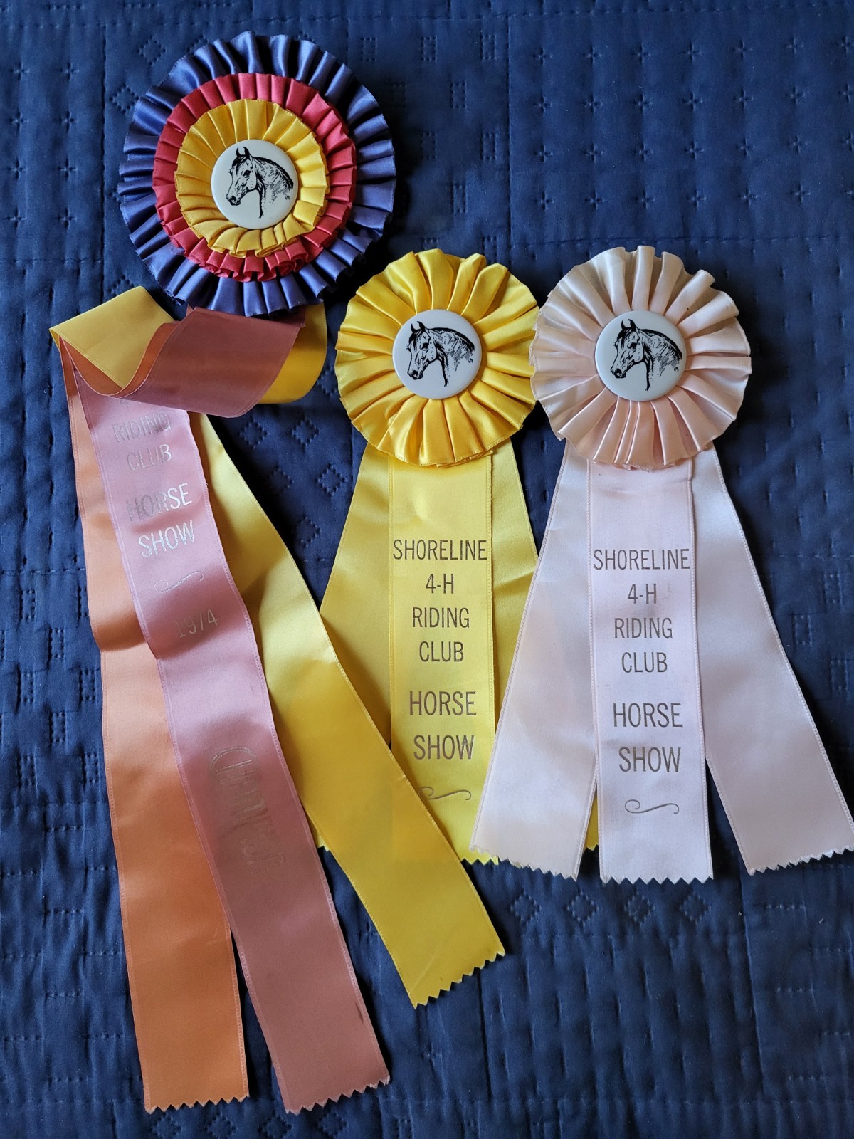 Shoreline Riding Club Horse Show Ribbons Equestrian Events Vintage Awards 1974