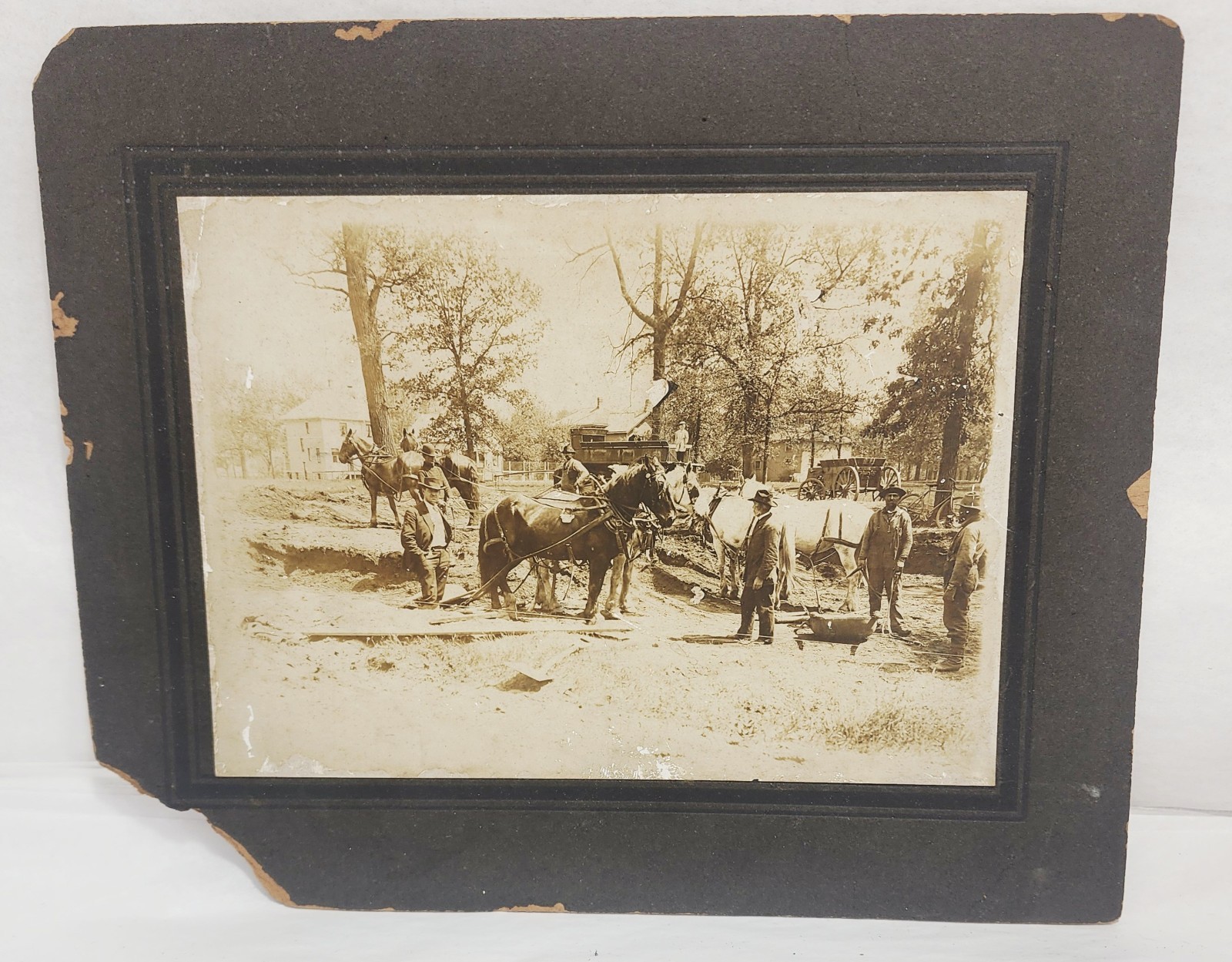 Spring of 1913 Large Cabinet Photo of Horses Digging Basement for House 