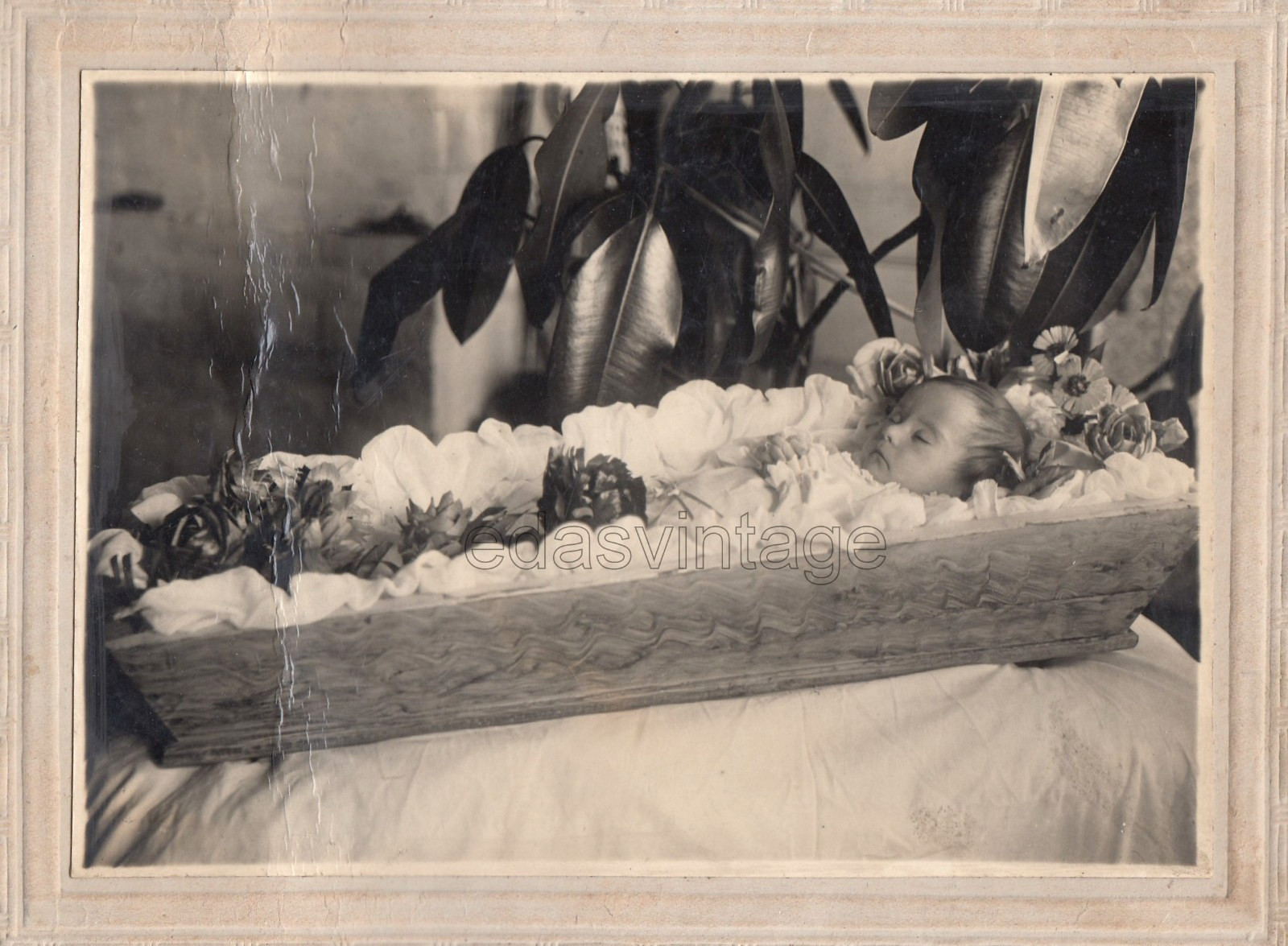 Studio Funeral service Child Baby Final goodbye Post Mortem Russia antique photo
