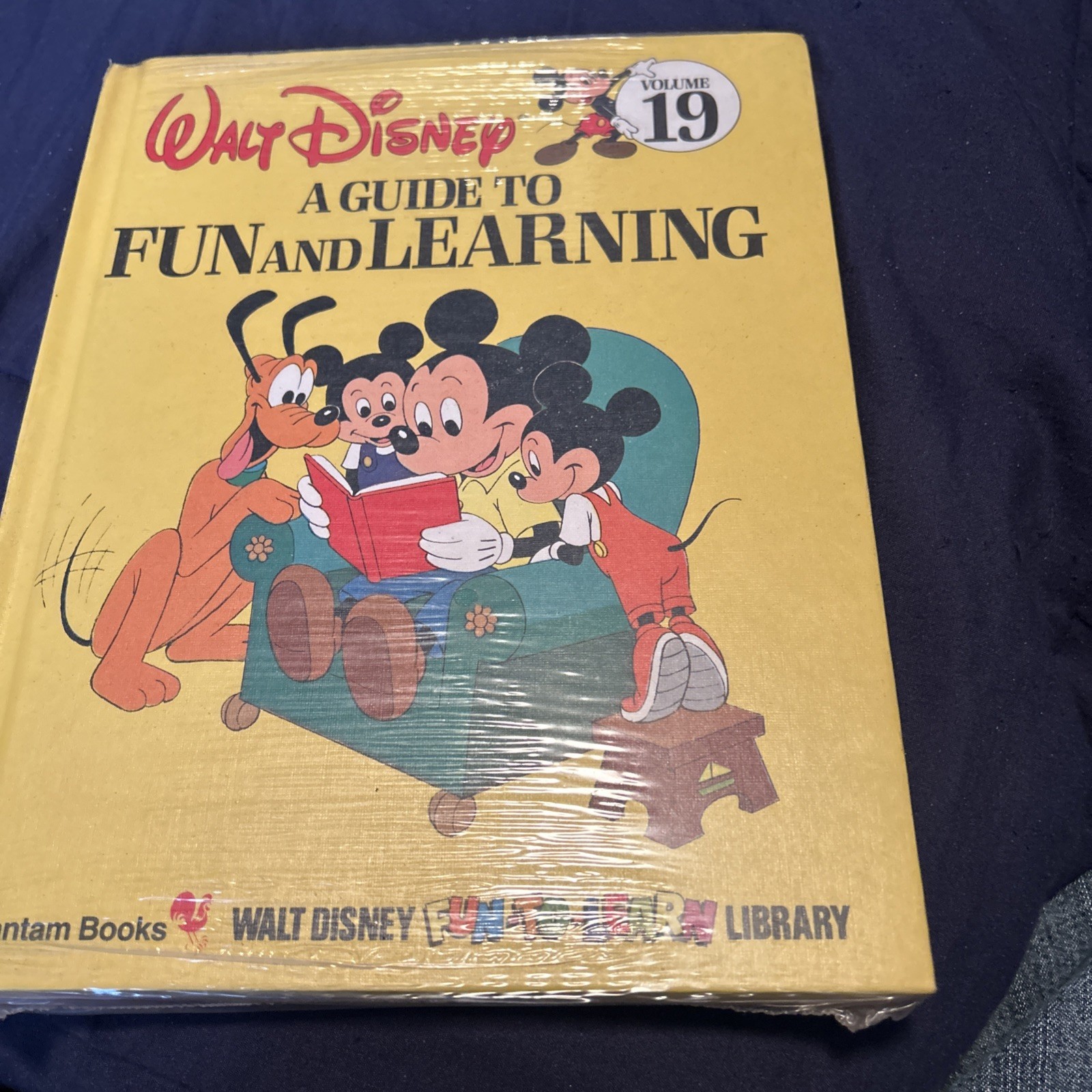 Walt Disney Books