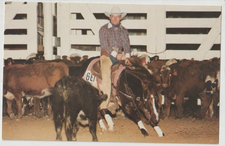SMART LITTLE LENA QUARTER HORSE STALLION CUTTING CHAMPION Postcard