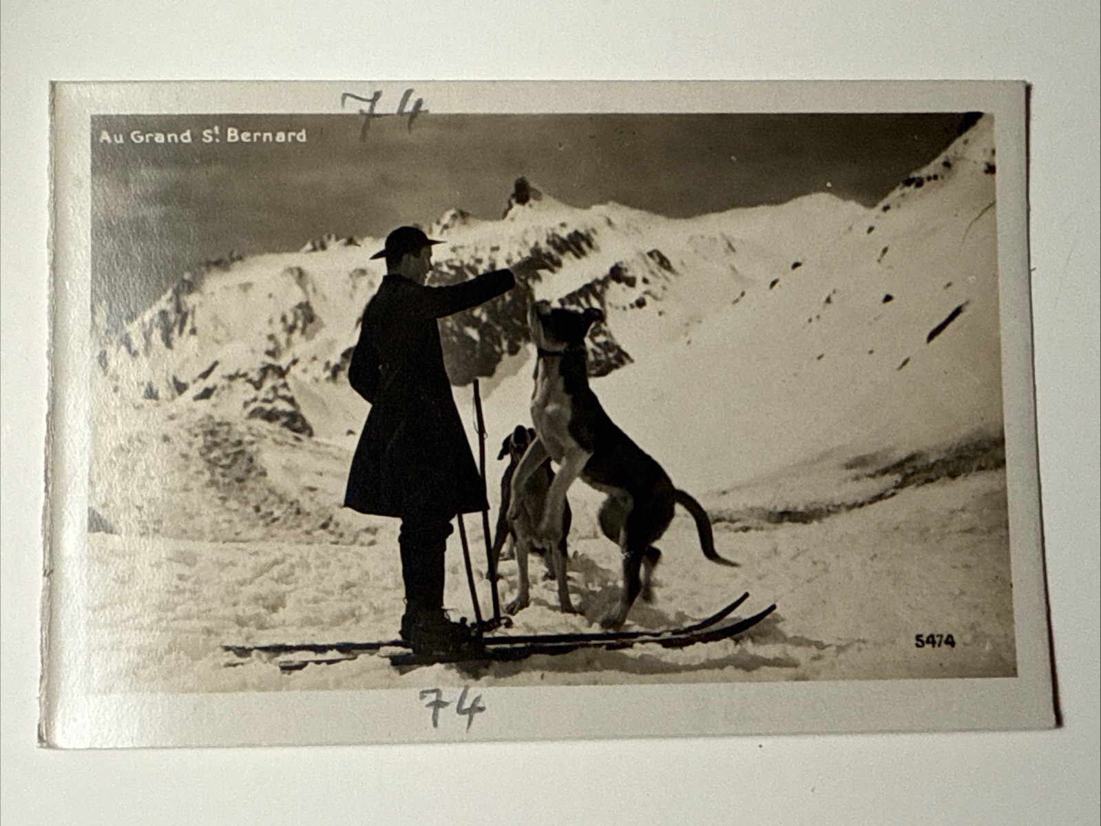 1900s St Bernard Dog Ski Skiing Snow France Alps RPPC Real Photo Postcard Vtg