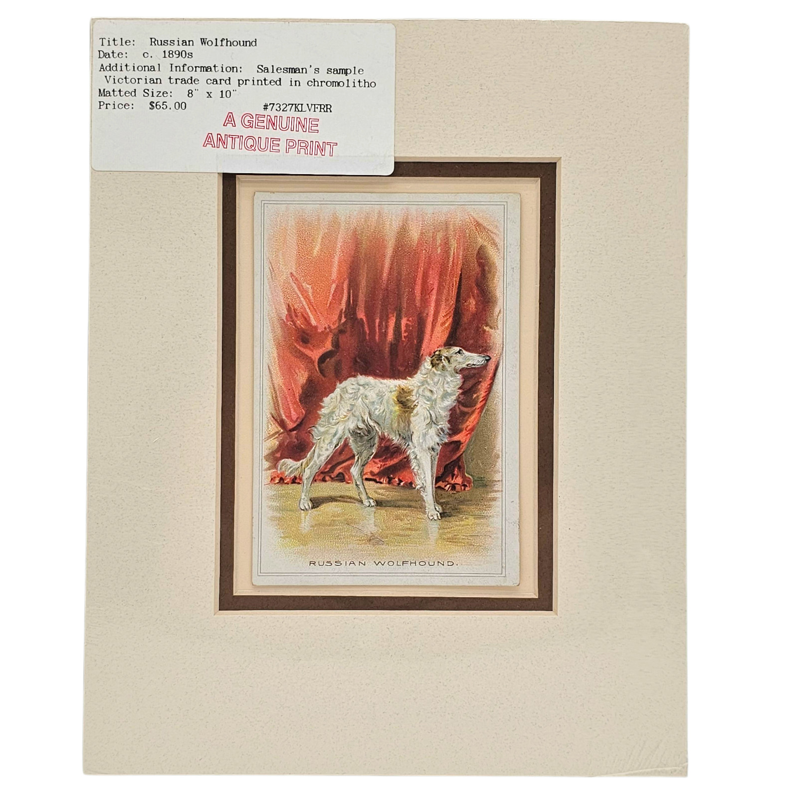VTG 1890s Russian Wolfhound Borzoi Victorian Chromolithograph Trade Card Matted