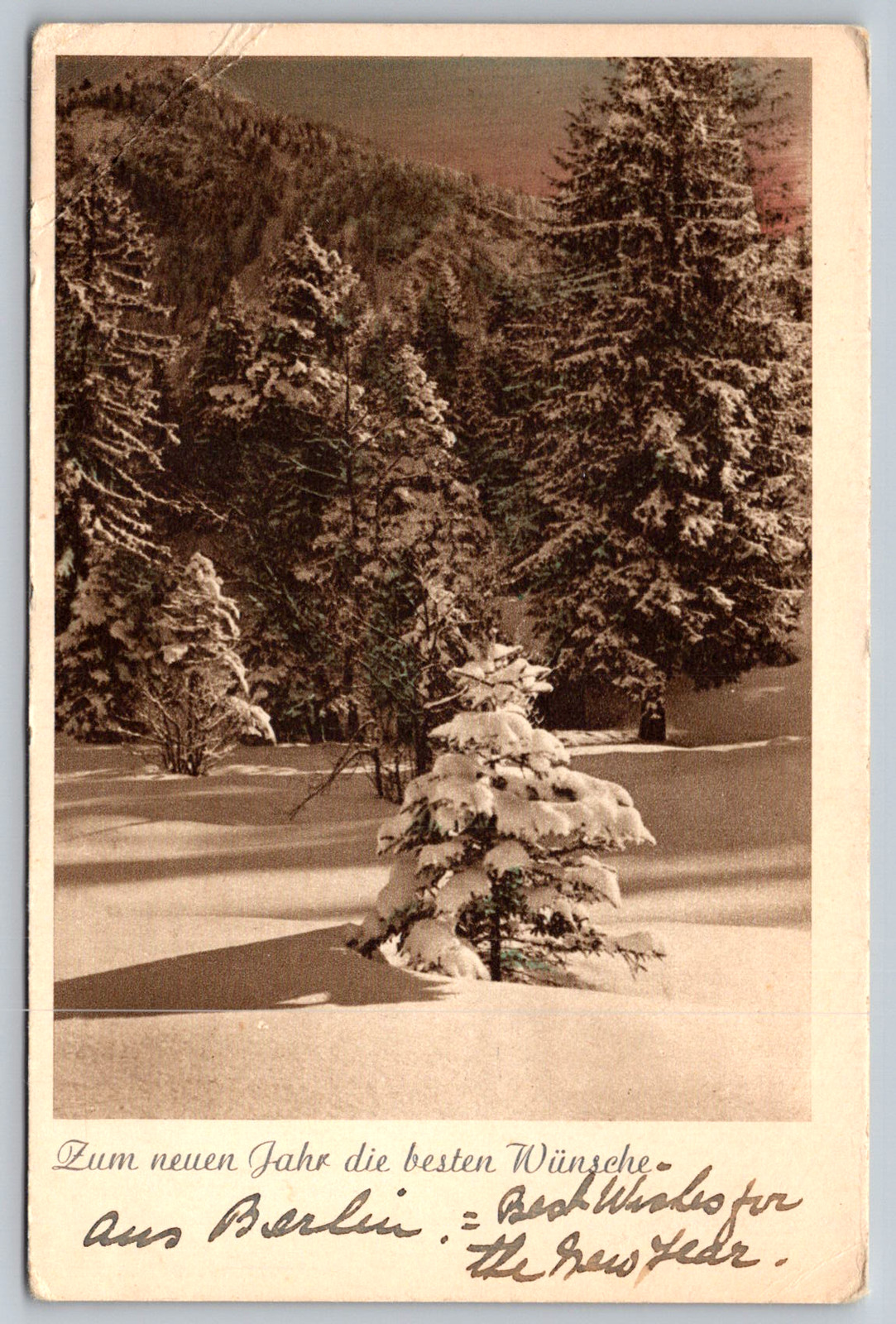 c1940s Berlin Snowy Forest Best Wishes New Year Postcard