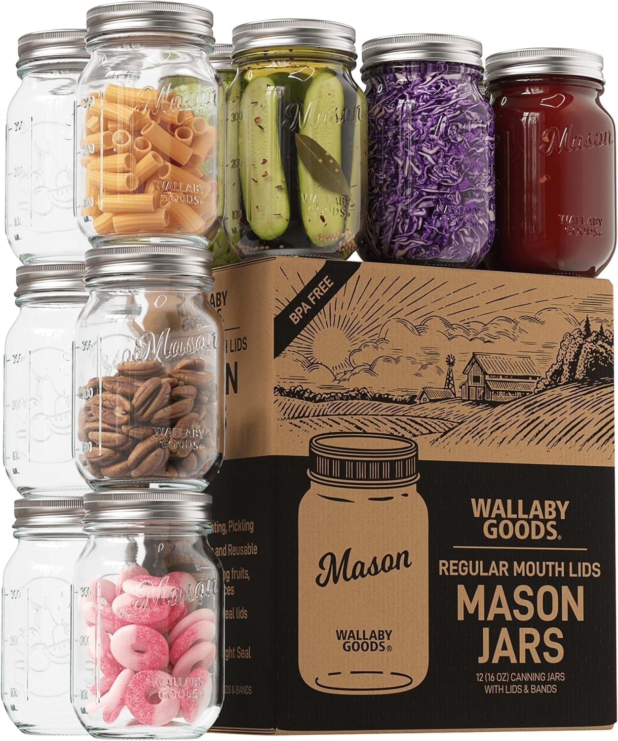 16oz Regular Mouth Mason Jars w/ Lids Airtight Glass Canning 12-Pack DIY