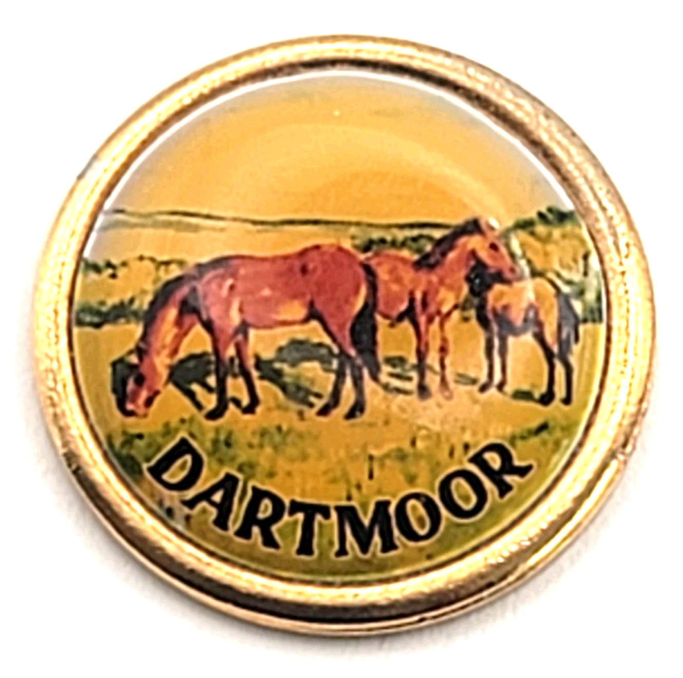 Dartmoor Ponies England Wild Horses Wildlife Countryside Souvenir Travel Pin VTG