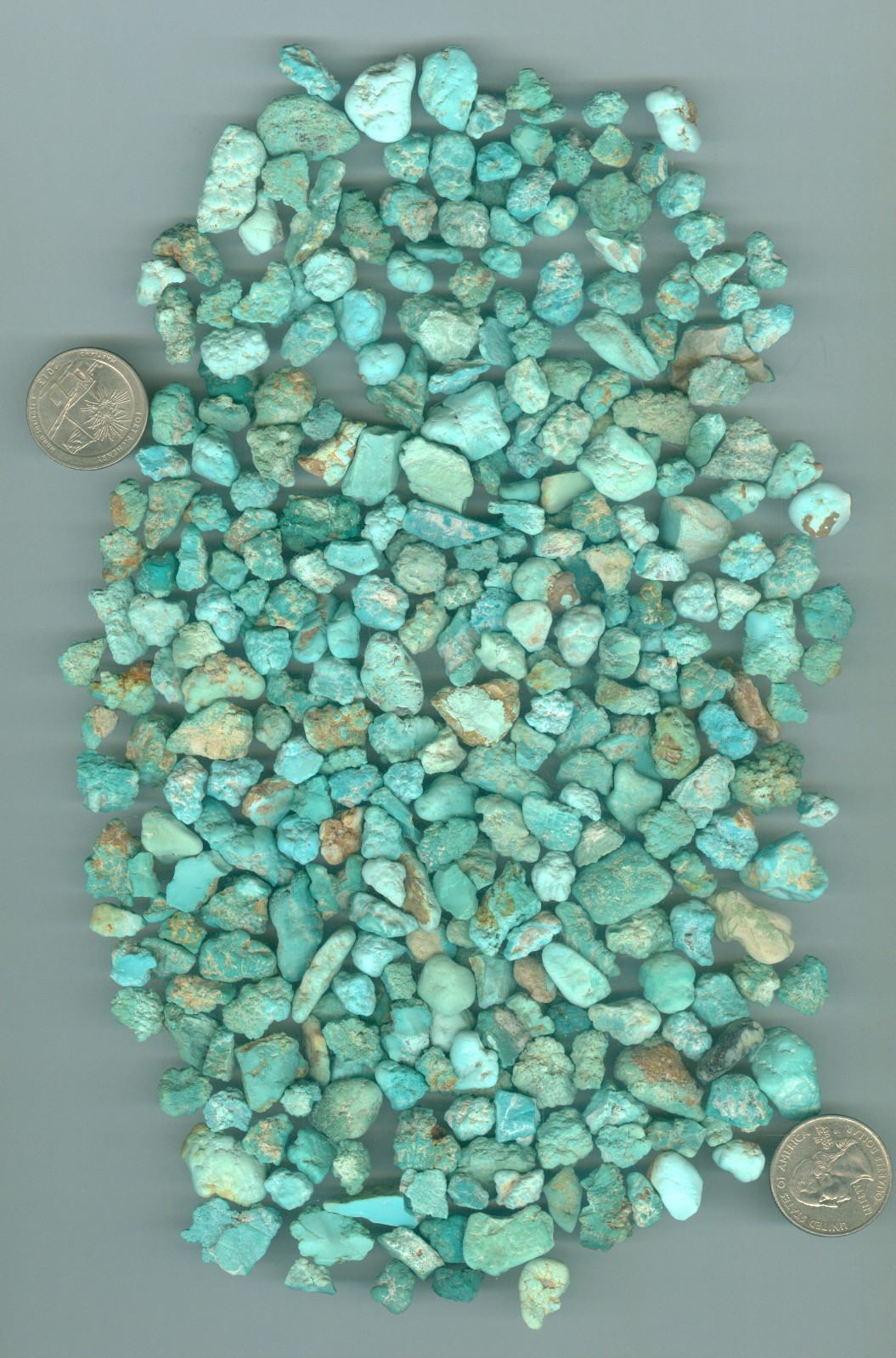 340 Grams of Natural American Fox Mine Turquoise Rough Nevada Turquoise 12 oz