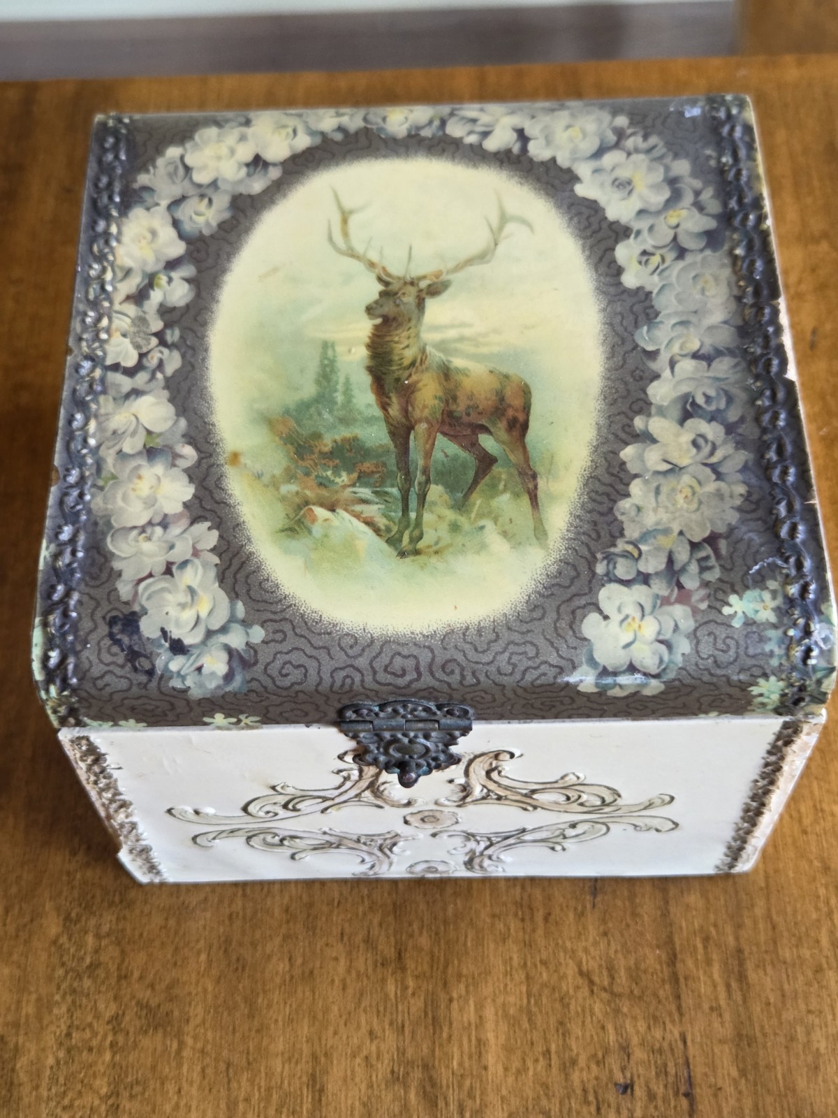 Antique Victorian Buck Deer Gentleman\'s Celluloid Shirt Collar Box / Read
