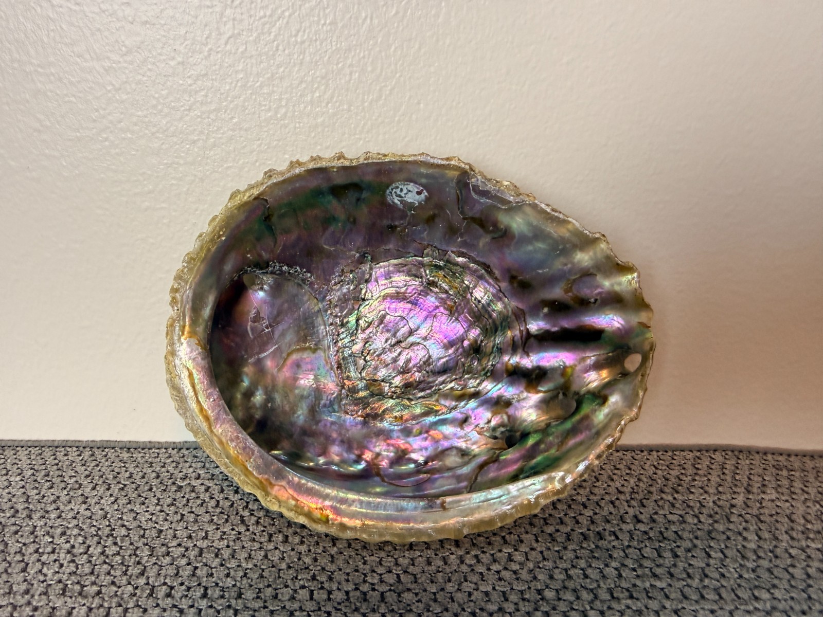 Vintage Abalone Shell 5.5”x4.5” Display Bowl/Dish Decorative Coastal Decor
