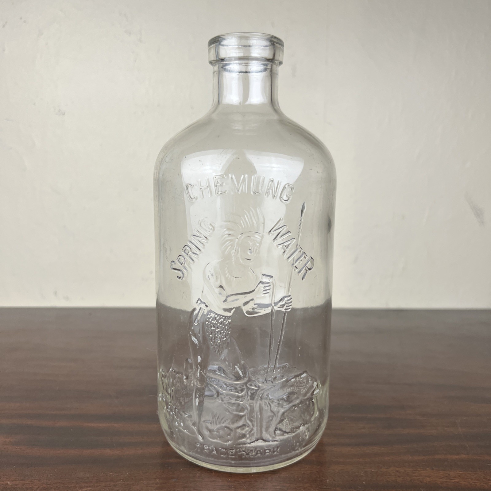 Antique Chemung Spring Water Bottle Embossed Native American Indian NY 10.5\