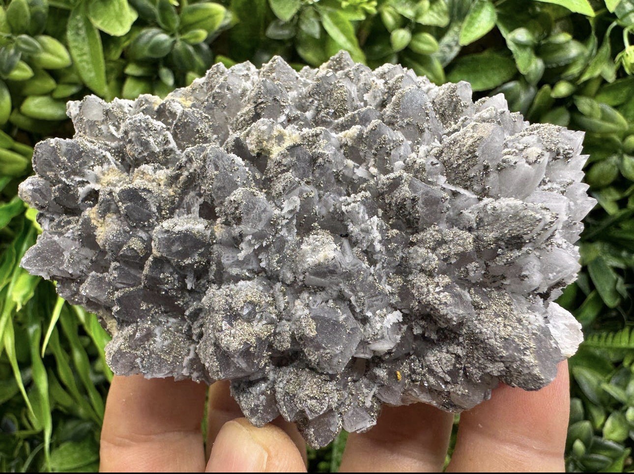 ✨Exquisite XL Amethyst with Chalcopyrite Cluster Display Collectors Piece #8