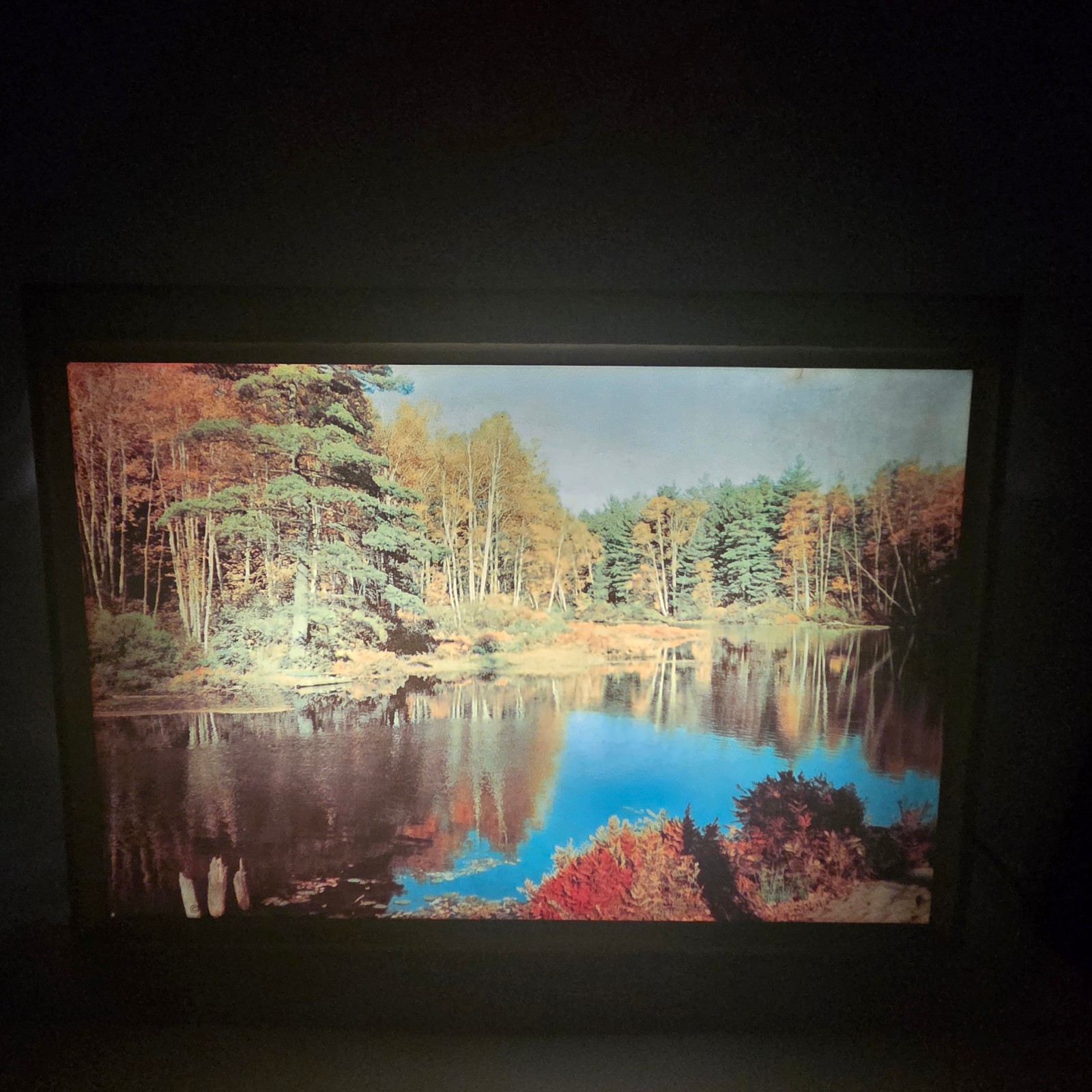Vintage 1950s Helmscene Lighted Picture Shadow Box No 125 Norway Pines Lake WORK