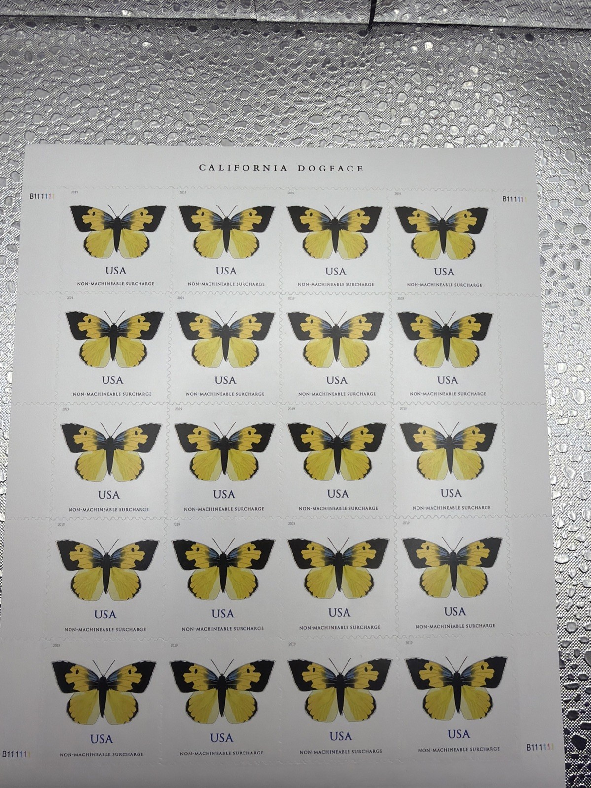 2019 California Dogface Non-Machinable 5 Sheets 100 Pcs Self-Adhesive MNH 2019 California Dogface Non-Machinable 5 Sheets 100 Pcs Self-Adhesive MNH