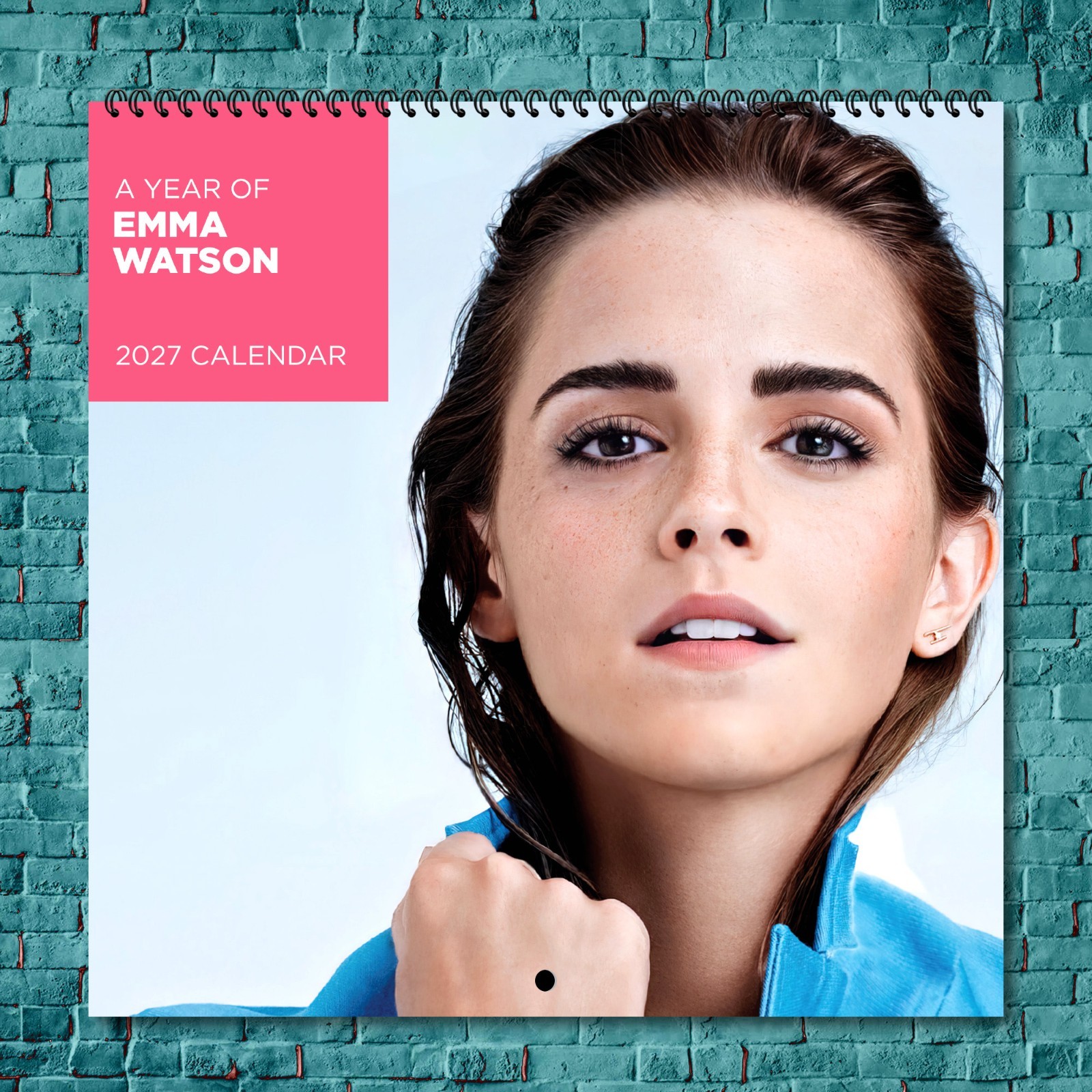Emma Watson 2027 Wall Calendar 12 Month Celebrity Photo Fan Collectible