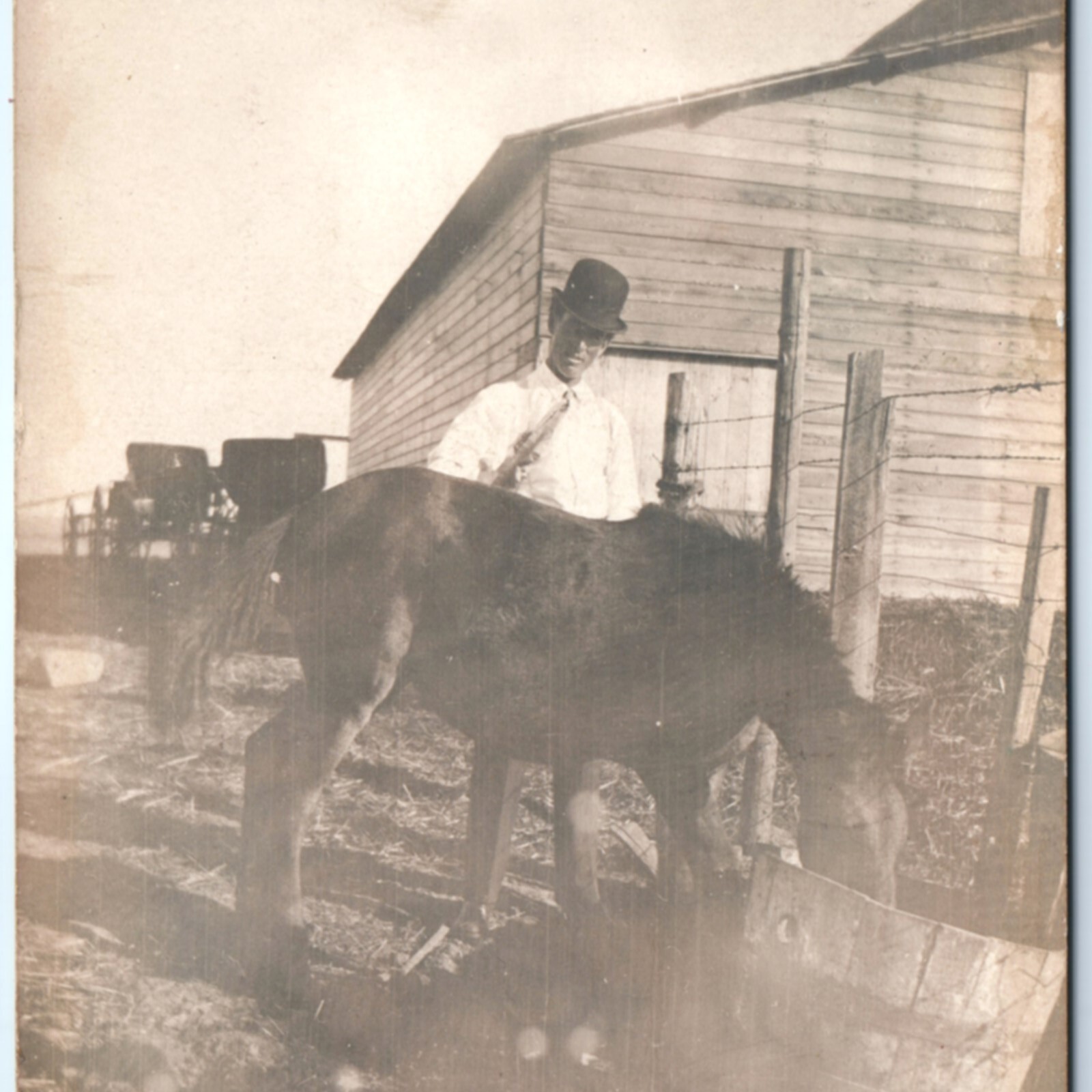 c1910s Aberdeen, SD Man Bowler Hat Horse Barn Feed Trough RPPC Photo Postcard
